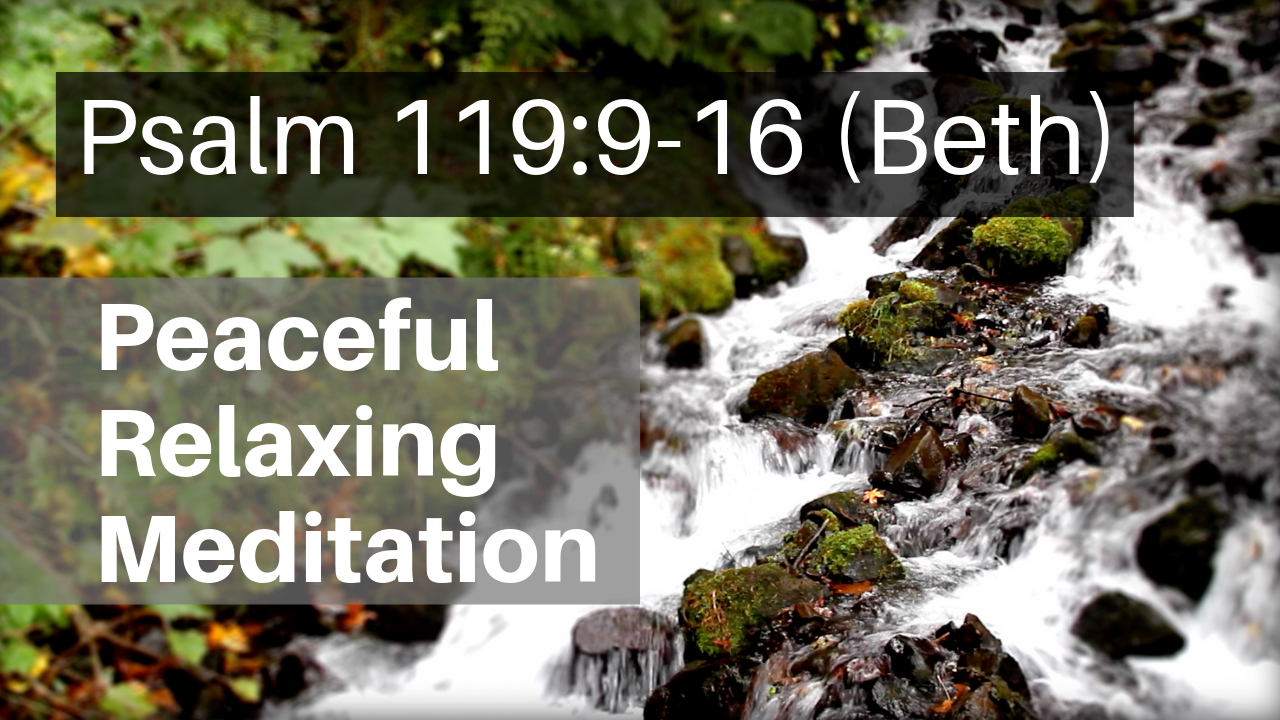 Psalm 119 Relaxing Peaceful Meditation Verses 916 Beth Daily